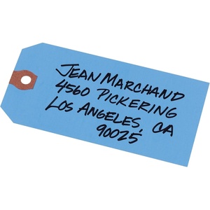 Avery Unstrung Shipping Tags, 11.5 pt. Stock, 4-3/4″ x 2-3/8″, 1,000 Blue Hang Tags (12355)